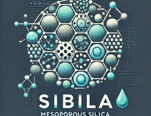 Kick-off meeting of SIBILA project