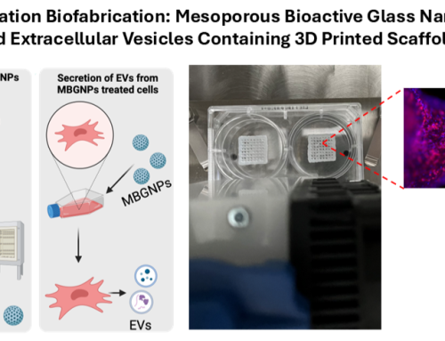 Funding Success: Project VV-MVP-24-0409 (BONEGEL) has been Approved by the Slovak Research and Development Agency